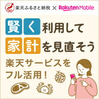 【楽天ふるさと納税】MNO